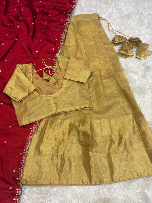 Kanchipuram Banarashi tissue silk lehanga golden with contrast Duppata matching Chinnon